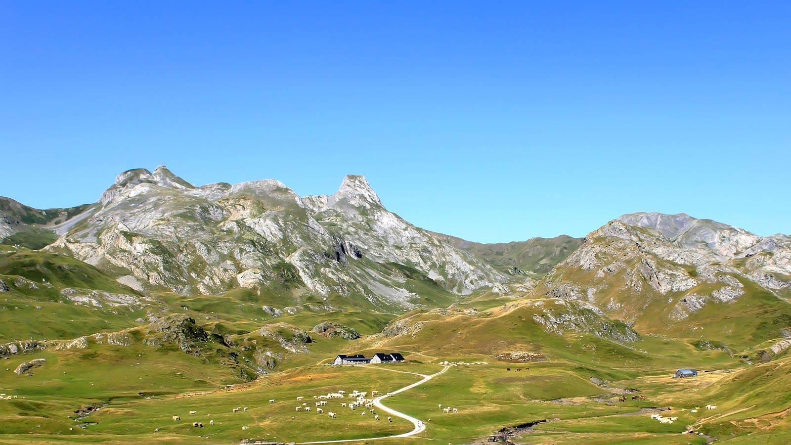 pyrenees